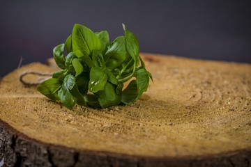 bunch of fresh organic basil  on rustic wooden background