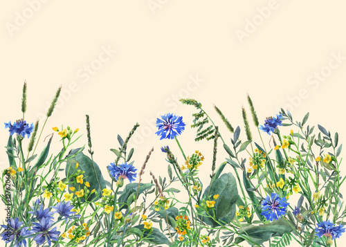 Panoramic view of wild meadow flowers and grass on yellow background. Horizontal border with flowers and herbs. Watercolor hand painting illustration.