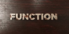 Function - Grungy Wooden Headline On Maple  - 3D Rendered Royalty Free Stock Image. This Image Can Be Used For An Online Website Banner Ad Or A Print Postcard.