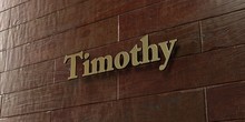 Timothy - Bronze Plaque Mounted On Maple Wood Wall  - 3D Rendered Royalty Free Stock Picture. This Image Can Be Used For An Online Website Banner Ad Or A Print Postcard.