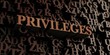 Privileges - Wooden 3D rendered letters/message.  Can be used for an online banner ad or a print postcard.