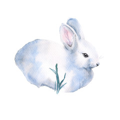 White rabbit. Insulated. The day of Holy Easter. watercolor illu