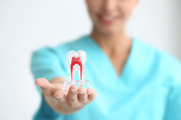 Poster - Young female dentist holding tooth model