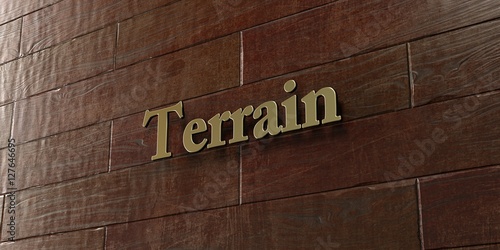Fotografie, Obraz Terrain - Bronze plaque mounted on maple wood wall - 3D rendered royalty free stock picture