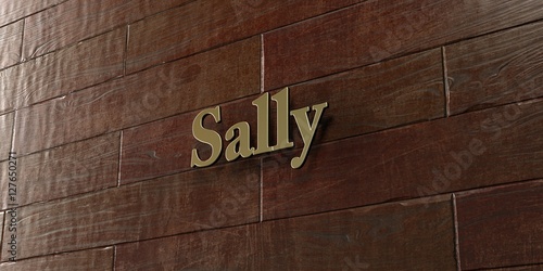 Sally Bronze Plaque Mounted On Maple Wood Wall 3d Rendered