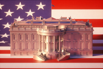 Fototapete - White House On USA Flag 2