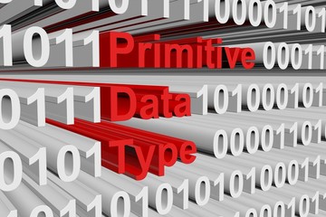 Wall Mural - primitive data type as binary code 3d illustration
