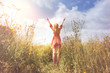 young woman relaxing with arms raised to the sky in the middle of the nature