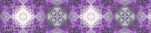 panorama  pattern of fresh lilacs