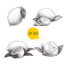 Hand Drawn Sketch Style Set Of Lemon Fruit With Leafs And Sliced Lemon. Retro Vector Illustration.