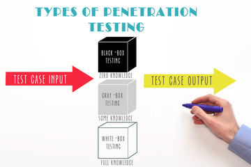 penetration testing types: white box, gray box and black box testing. 