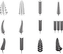 Various Ferns Icons