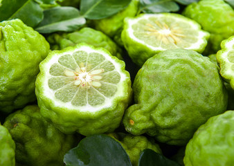 Wall Mural - fresh bergamot