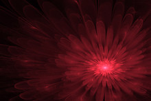 Abstract Red Flower On A Black Background
