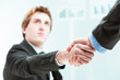 © Giulio_Fornasar - businessmen handshaking with hands in focus