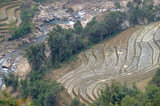 Fototapeta  - Rice terraces