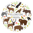 Circle vector set of plants and Yellowstone National Park animals grizzly, moose, elk, bear, wolf, golden eagle, bison, bighorn sheep, bald eagle, western tanager, isolated on transparent background