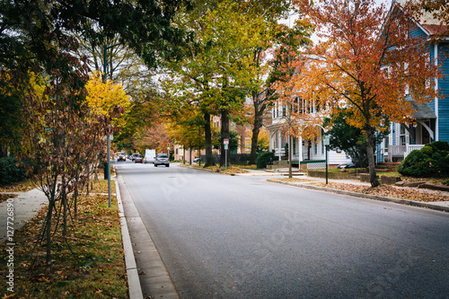 Fotografie, Obraz Autumn color and houses along Goldsborough Street, in Easton, Ma