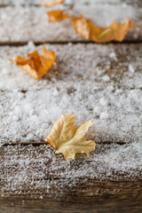 Canvas Print - autumn maple leaf lying in the snow