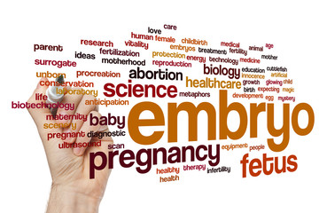 Wall Mural - Embryo word cloud