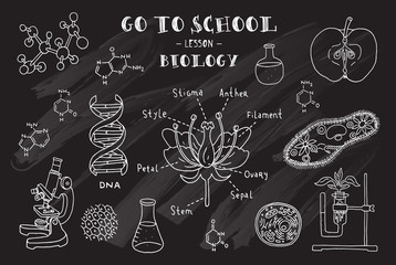 Biology. Hand sketches on the theme of biology. Vector illustration. Chalkboard.