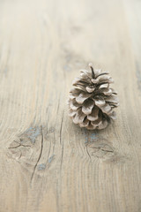 Wall Mural - Pinecone on rustic wooden background with copy space for text. H