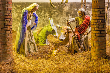 Christmas Crib