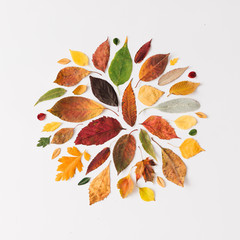 Poster - Creative layout of colorful autumn leaves.