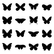 Set Of Silhouettes Of Butterflies, Vector Illustration