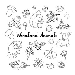 Wall Mural - Doodle set of cute animals with vector doodle floral set