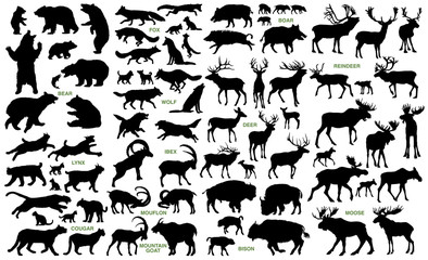 big mammals of the northern lands vector silhouettes collection