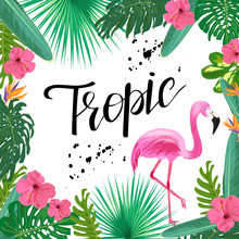 Summer Tropic Poster.