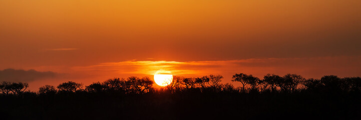 Wall Mural - panorama of south african sunset