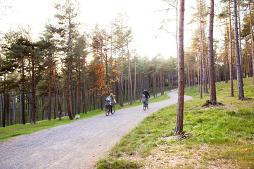 Wall Mural - Young family in warm clothes cycling in autumn park