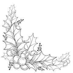 Wall Mural - Vector twig with outline leaves and berries of Ilex or Christmas Holly isolated. Traditional Christmas and New Year symbol in contour style for winter design and coloring book. Corner composition.