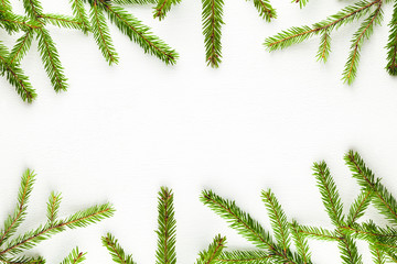 fir tree branches on white background, flat lay