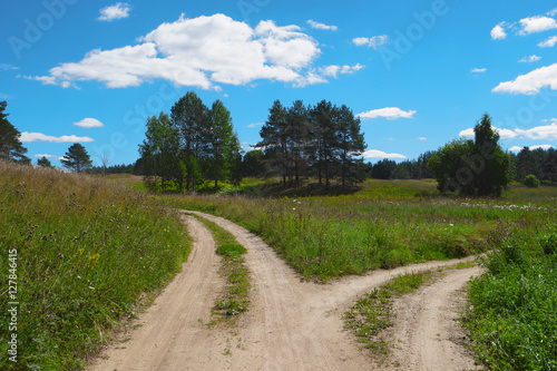 Fotografie, Obraz Scenic landscape, two path, choose way, split road