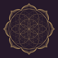 Vector Mandala Sacred Geometry Illustration.