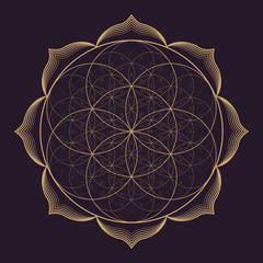 vector mandala sacred geometry illustration.