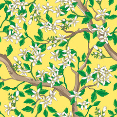 Wall Mural - floral seamless pattern with white flowers.