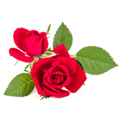 red rose flower bouquet isolated on white background cutout