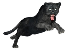 3d Illustration Of Black Panther Hunting Isolated On White Background