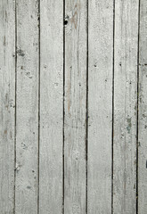Wall Mural - Grey wooden texture