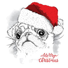 The Christmas Poster With The Image Pug Portrait In Santa's Hat. Vector Illustration.