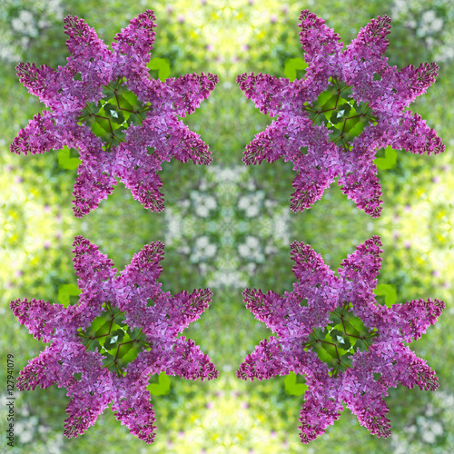 seamless pattern of fresh lilacs