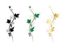Ornamental Floral Decorative Grapes Vine Clusters Graphic Elements Or Banners, Text Dividers.
