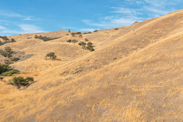 Wall Mural - Pacheco Pass