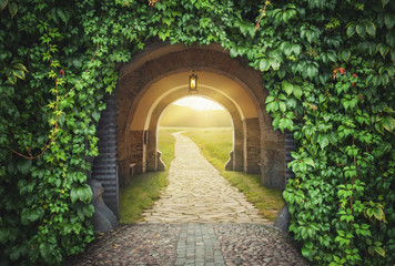 Wall Mural - Mysterious gate sunny entrance.  New life concept