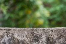 Concrete Wall And Green Blur Background