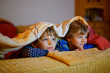 © Irina Schmidt - Little kid boys watching television and enjoying cartoons